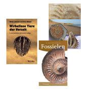 Fossils