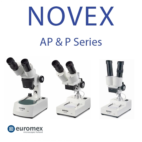 Novex Microscopes