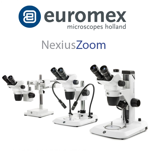 Euromex NexiusZoom 
