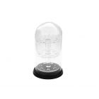 Glass dome Ø 103 mm. / H 178 mm. with 3 shelves with 7 holes + wooden base