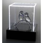 Illuminated Presentation Box 145x125x125 mm.