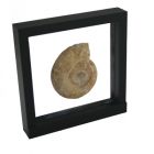35407-floating display frame black