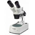 NOVEX Stereomicroscope AP-7 Led