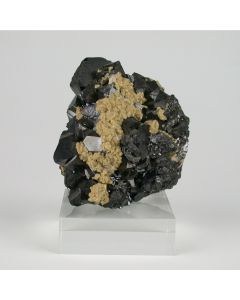 Sphalerite with Rhodochrosite, Quartz and Galenite from Trepca in Kosovo