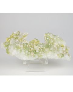 Green Apophylite with Prehnite and Mordenite - India