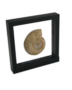 3D-Floating-Display 180 x 180 mm. black