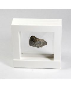 3D-Floating Display 100 x 100 mm white