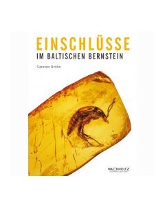 Einsclusseinbaltbernstein