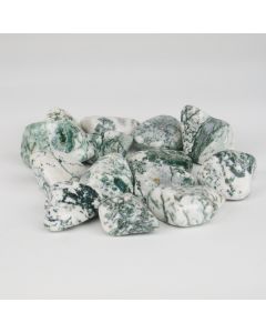 Dendrite Agate - M