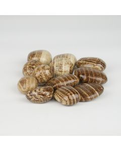 Aragonite brown - M