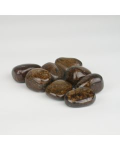 Bronzite - L