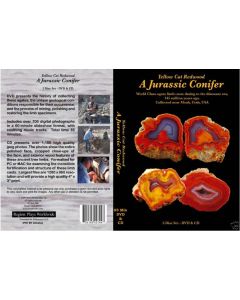 DVD & CD: Yellow Cat Redwood, a Jurassic Conifer