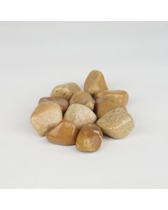 Jasper Beige - M