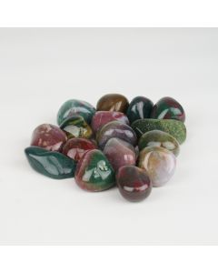 Jasper Colorful - L