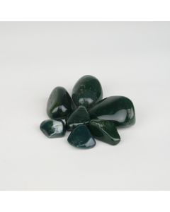 Jasper Green - M