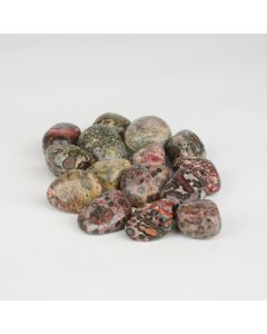 Jasper leopard - L