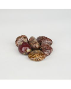 Jasper poppy - M