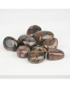 Chiastolite (Cross Stone) - XL