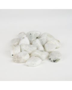Labradorite White - M