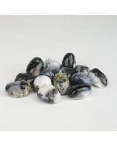 Dendrite Opal - M 