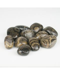 Stromatolite - M