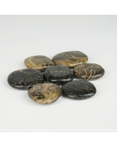 Stromatolite - Flat