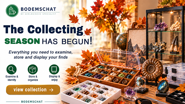Showcase your collections with Bodemschat